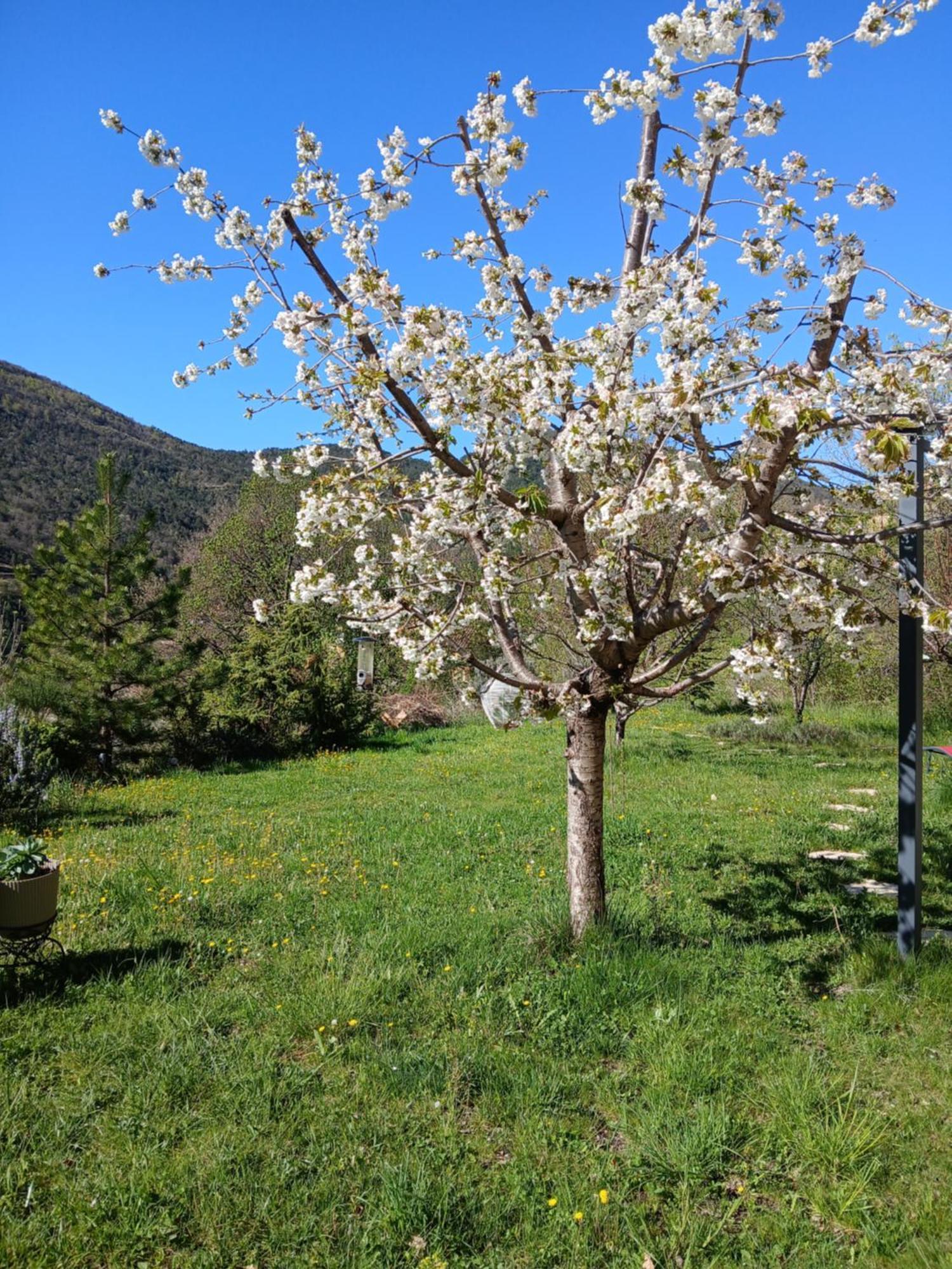 Les Terrasses Du Paradis Orpierre Zewnętrze zdjęcie